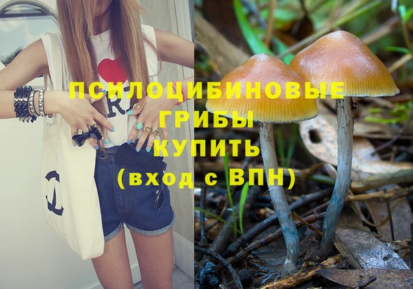 бошки Протвино